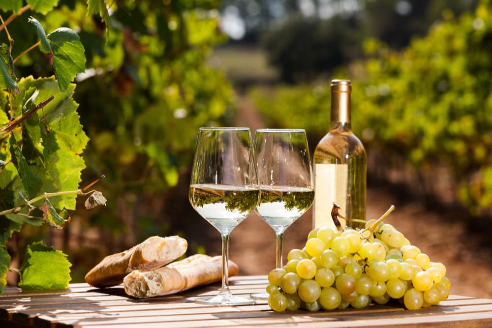 Selezione Vini